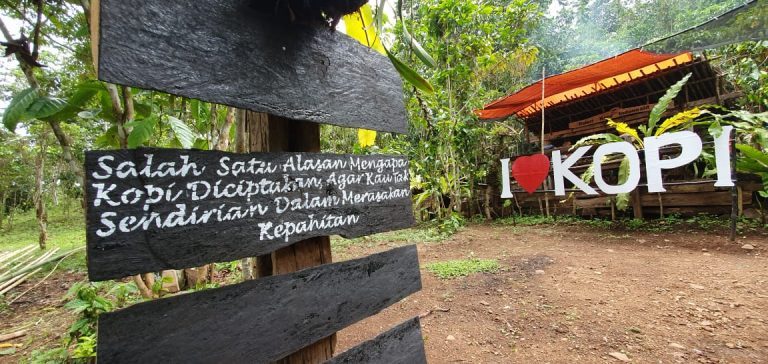 Potensi Pengembangan Ikon Sumbawa Barat, Kopi Rarak