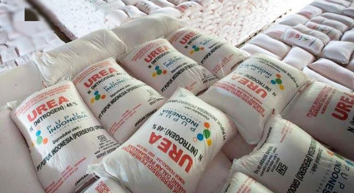 Stok Pupuk Masih 4300 Ton, Petani Diharapkan Tebus Sisa Kuota Pupuknya