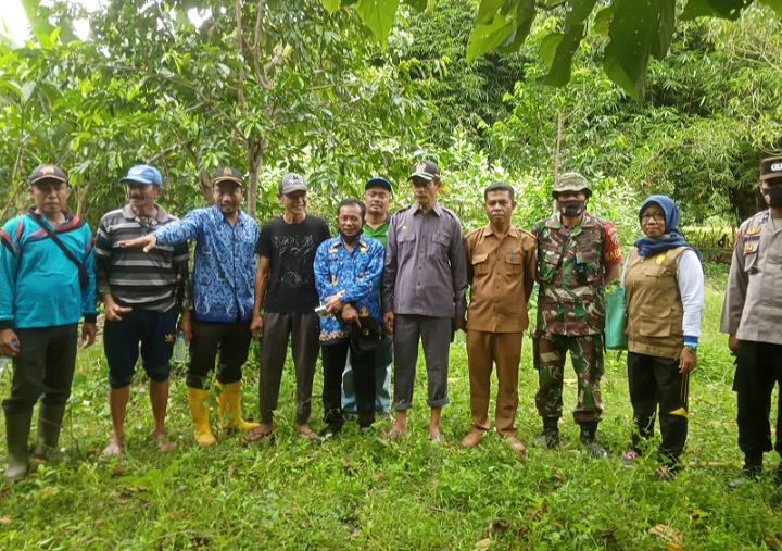 Bendung Desa Persiapan Lamunga Jebol, Kadis DPUPR KSB dan Dewan Baharung Terjun Kelokasi