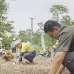 AMMAN Inisiasi Penanaman Pohon Aren, Berkolaborasi dengan Masyarakat Desa Tongo