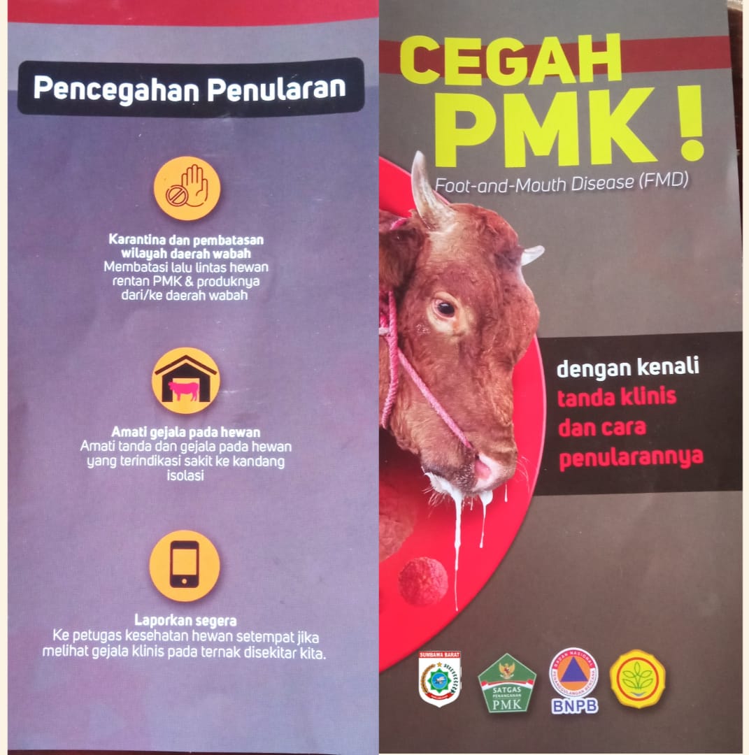 Iklan Pencegahan Penyebaran PMK Oleh Dinas Pertanian Kabupaten Sumbawa Barat