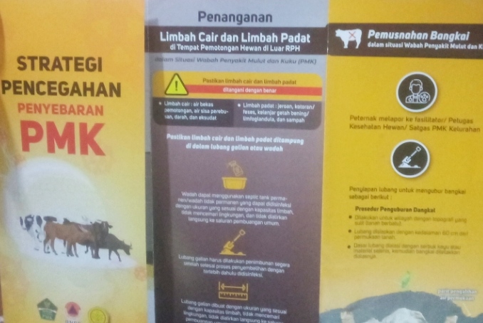 Menjadi Bencana Nasional, Ini Tanda Klinis Hewan Ternak Terjangkit PMK