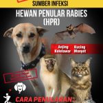 Iklan Waspada Rabies, Hewan Pembawa Rabies