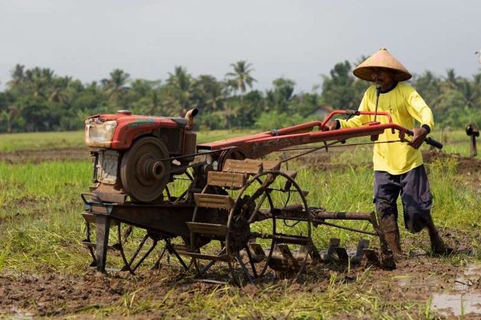 Keinginan Kelompok Tani Mendapatkan Alsintan Berupa Hand-Traktor Pupus