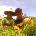 Dari Sumbawa Barat ke Singapura,  Perjalanan Ary dari Buruh Tani Jadi Ahli TI