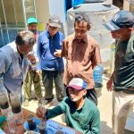 AMMAN Kuatkan Ekonomi Lokal Lewat Program Pertanian Organik