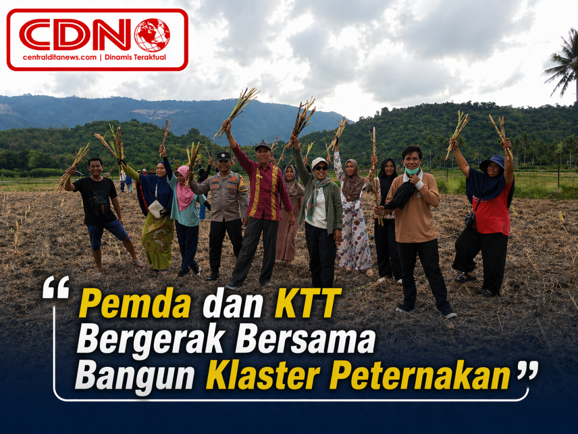 Program KSB Maju Luar Biasa: Dinas Pertanian KSB Kawal Penanaman Perdana Rumput Gajah di KTT Burely Farm