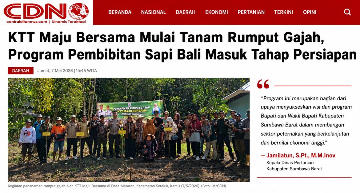 KSB Maju Luar Biasa: Program Pembibitan Sapi Bali Masuk Fase Implementasi